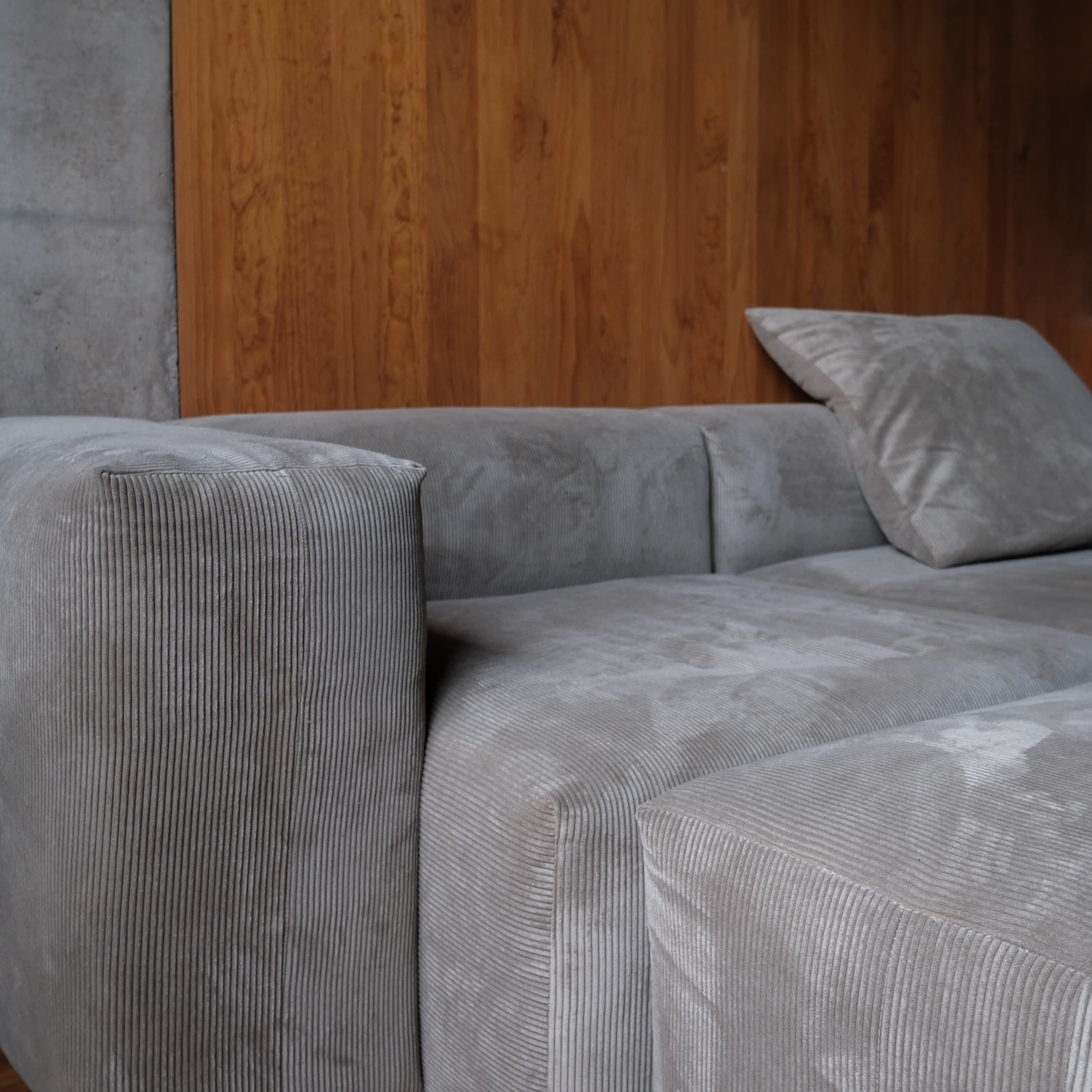 Detalle pana gris