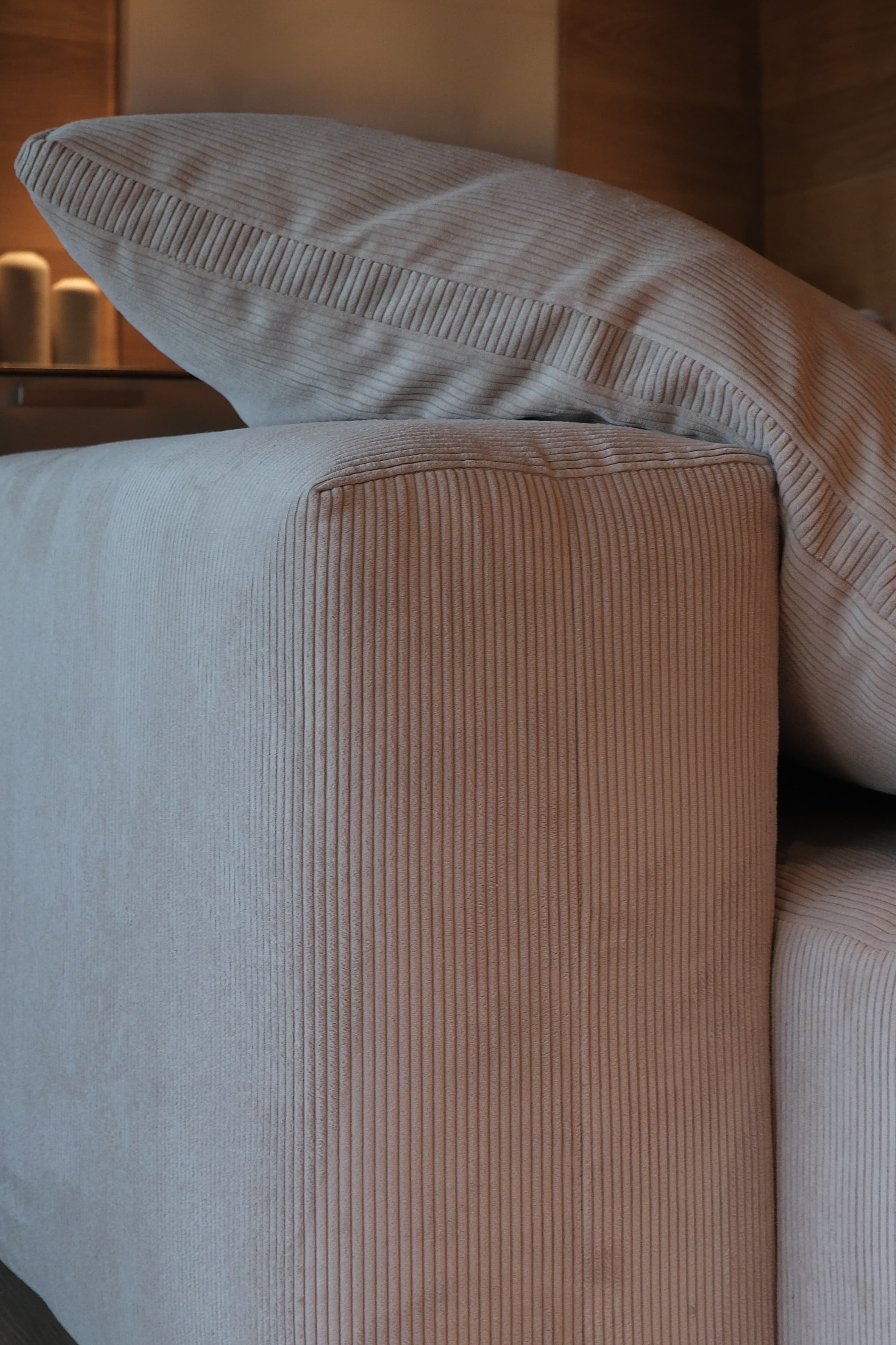 Sillón con luz natural, Natural Helecho